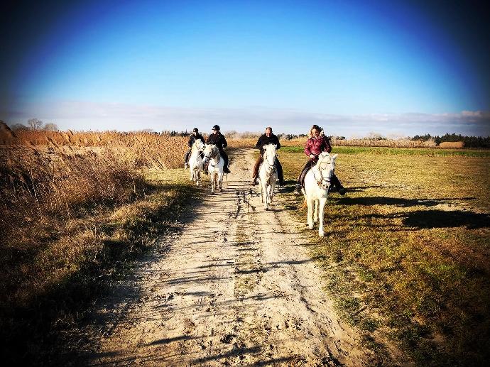 Promenade à cheval dans les paysages sauvages de la Camargue Excursion équestre dans les étendues sauvages de la Camargue