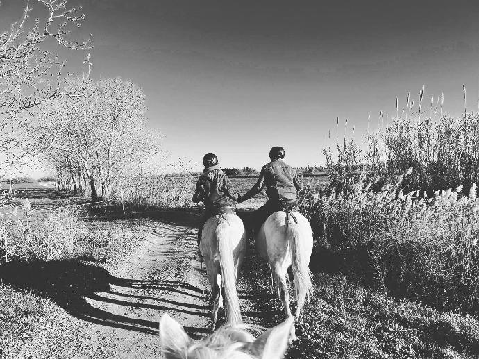 Promenade à cheval VIP dans les paysages sauvages de la Camargue