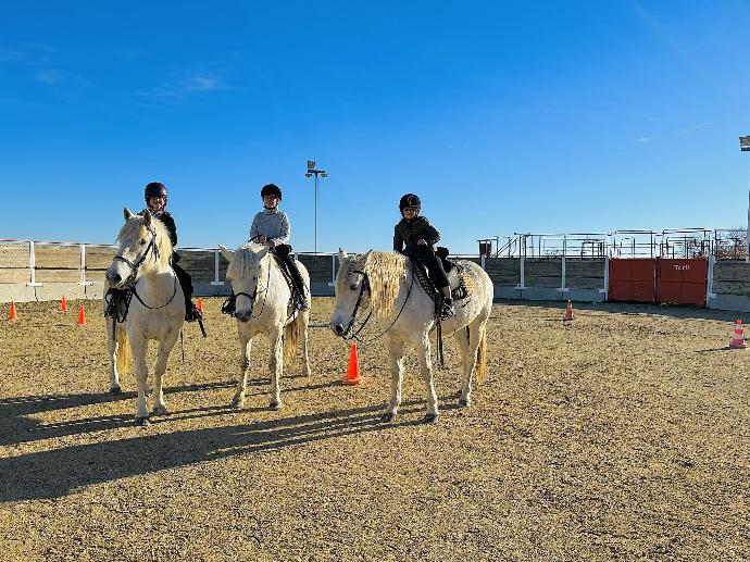 cours équitation camargue