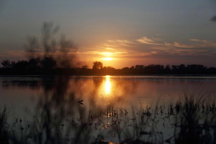 Couché de soleil en camargue